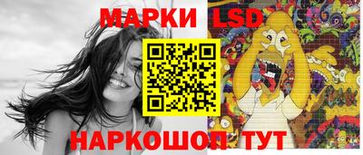 spice Камышлов
