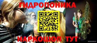 spice Камышлов