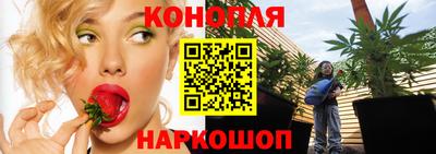 прущий лед Канаш