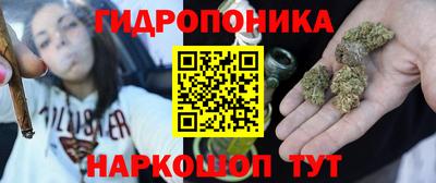 spice Камышлов