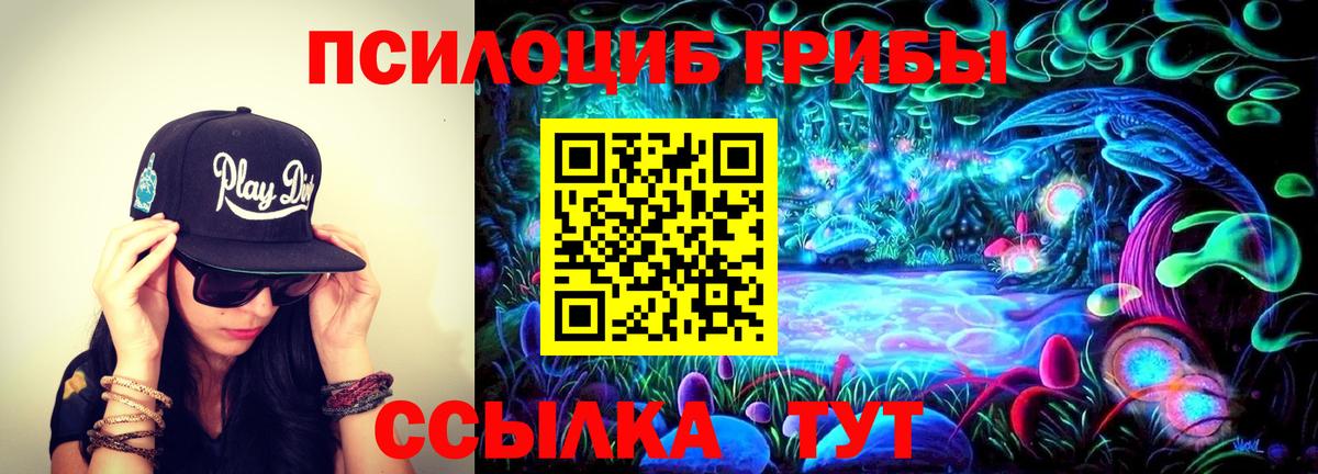 закладки  Вход с VPN  Лангепас  Галлюциногенные грибы Psilocybe 